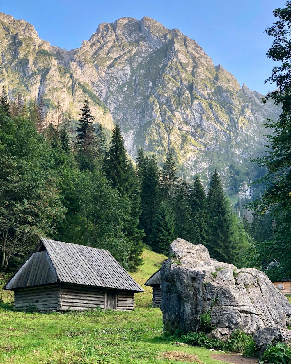 Casa de madera marrón cerca de árboles verdes y montaña durante el día