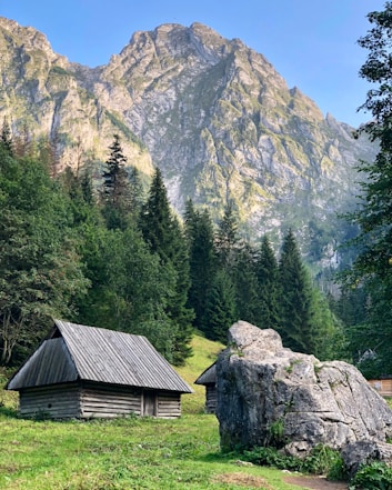 A rustic wooden cabin with a steep roof is nestled among lush green trees and next to a large, rugged rock. In the background, towering rocky mountains rise sharply against a clear blue sky, adding grandeur to the serene forest setting.