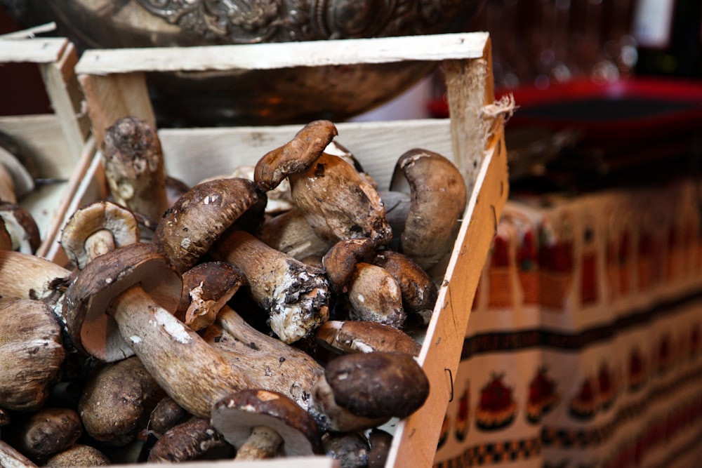 champiñones marrones en una caja de madera marrón