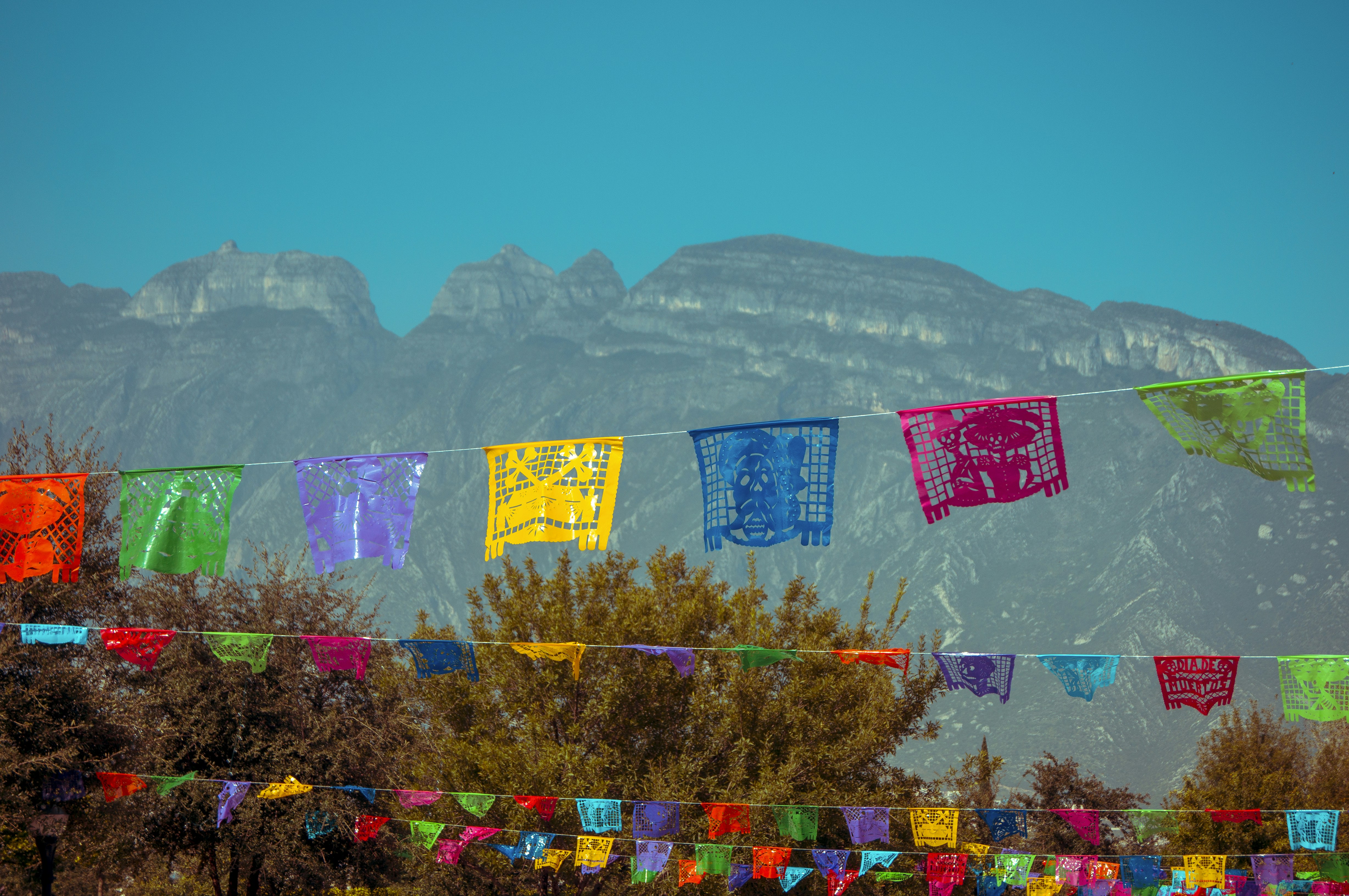 purple and yellow flowers near mountain during daytime