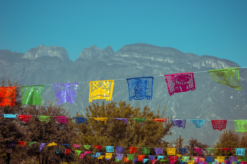 Flores moradas y amarillas cerca de la montaña durante el día