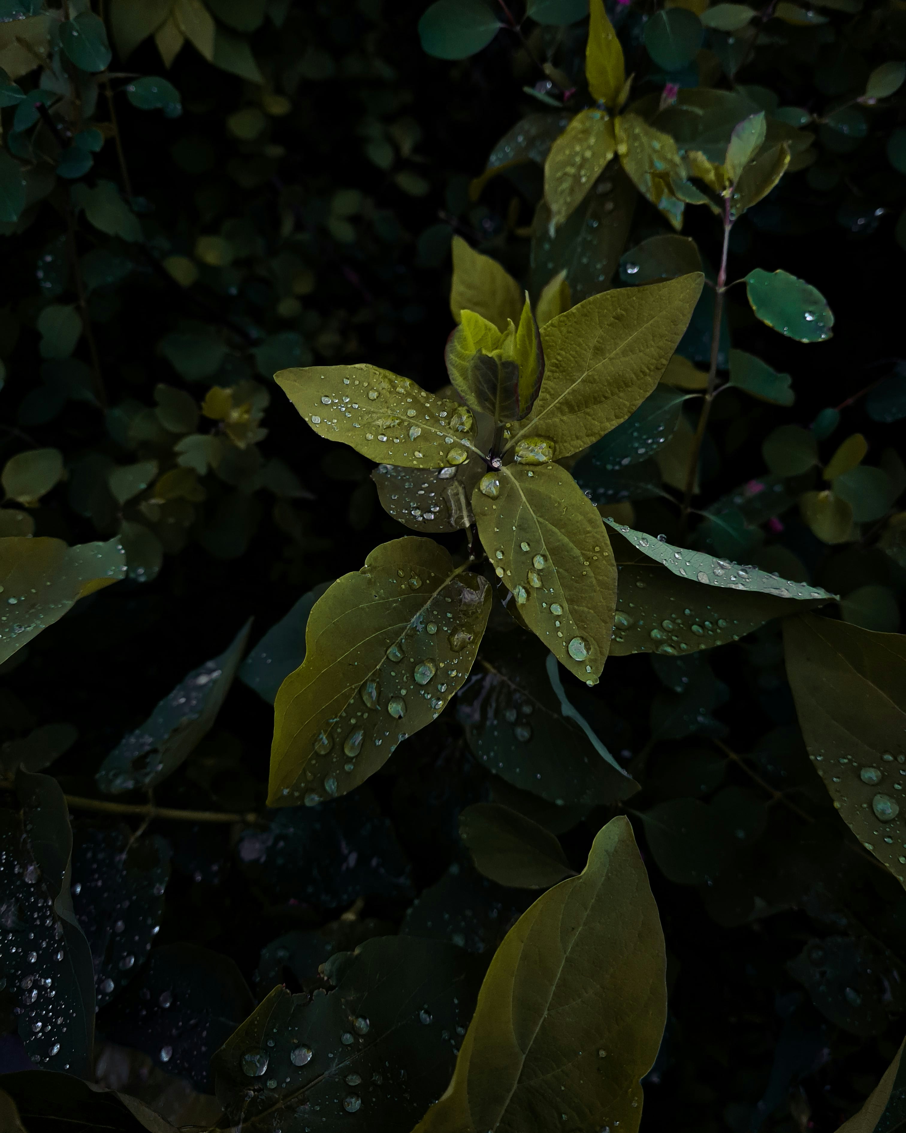 Unroll Your Mat: Discover the Transformative Power of Yoga for Mind, Body, and Soul