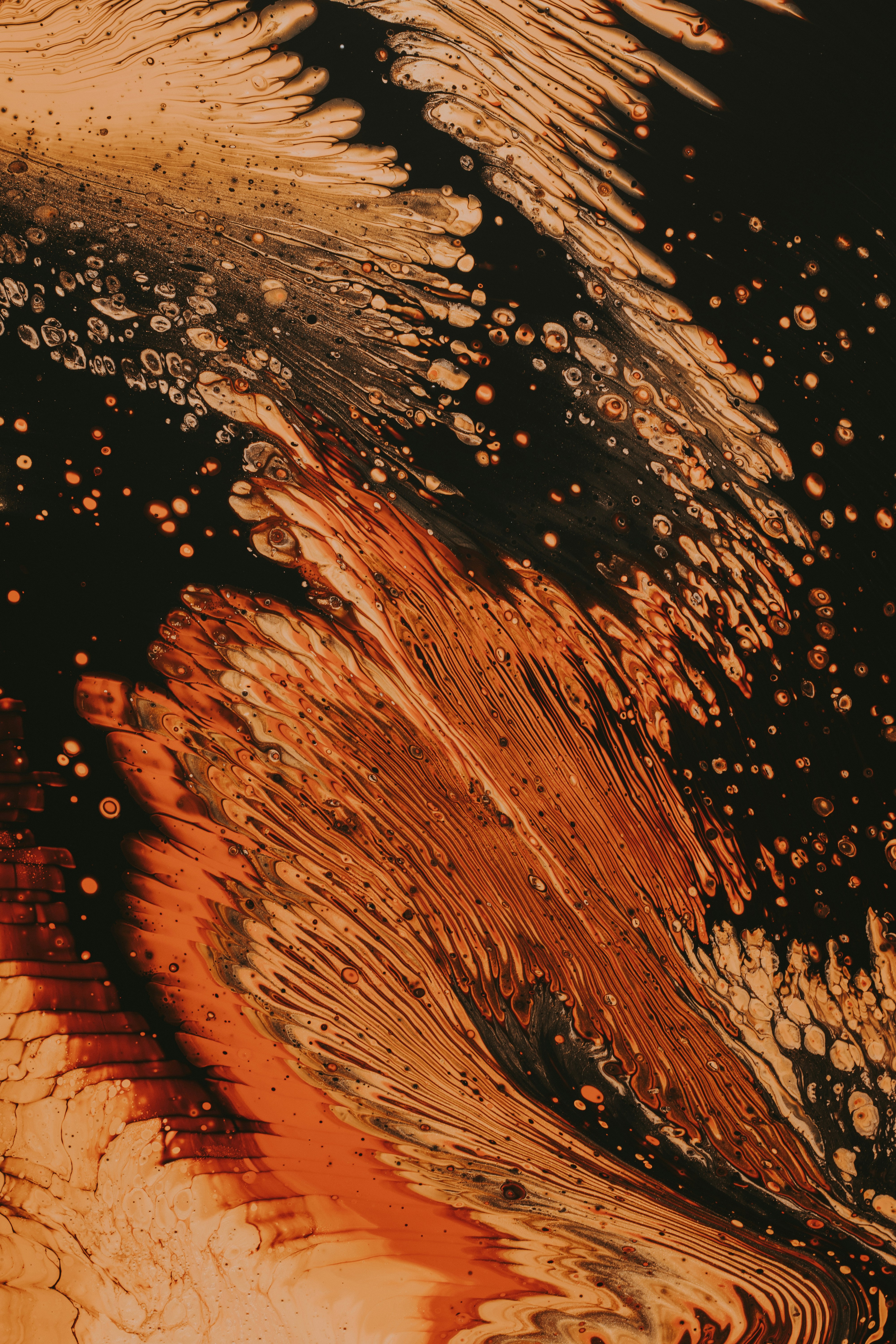 Photo by pawel_czerwinski