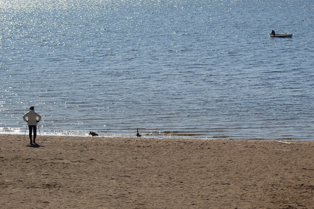 people walking on beach during daytime