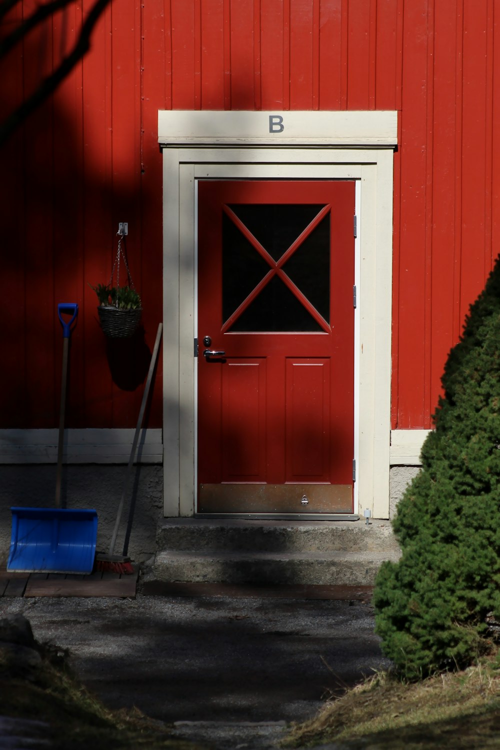 rote Holztür mit grüner Pflanze