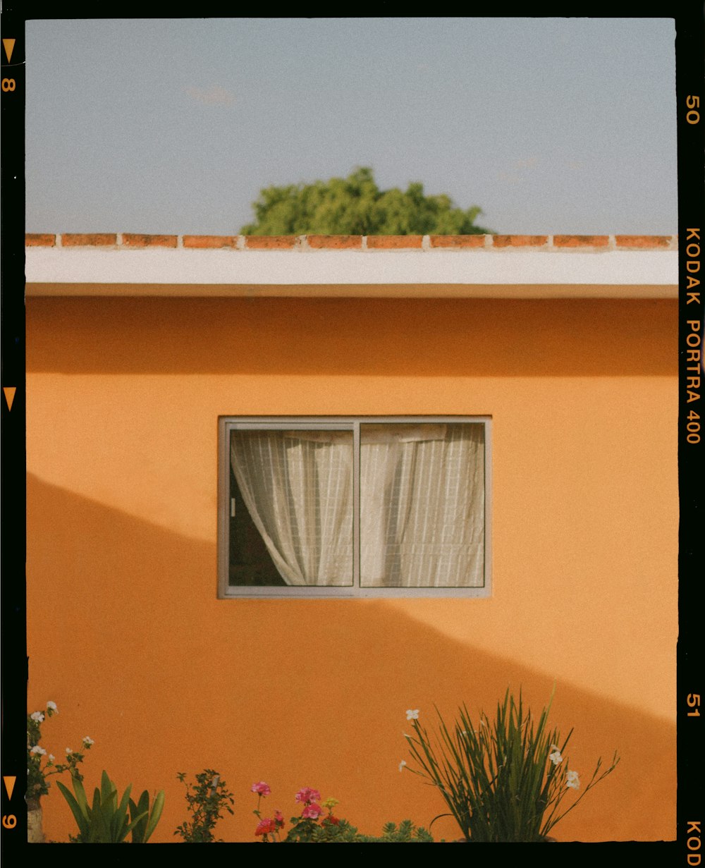 casa de concreto marrom e branco