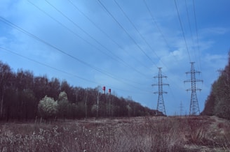An open field is traversed by several high-voltage power lines supported by metal pylons, set against a backdrop of leafless trees and a partly cloudy blue sky.
