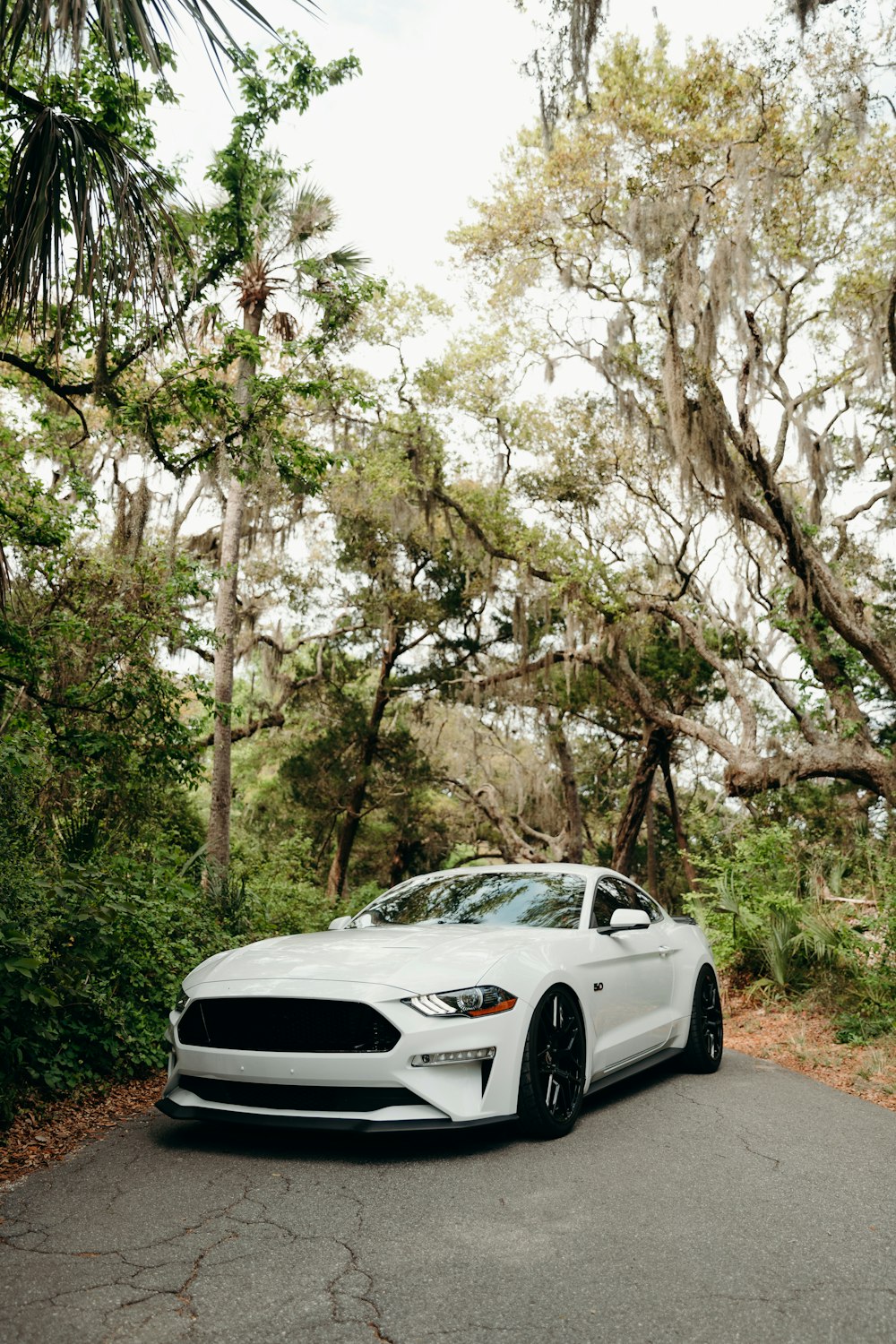 white sedan parked near trees during daytime