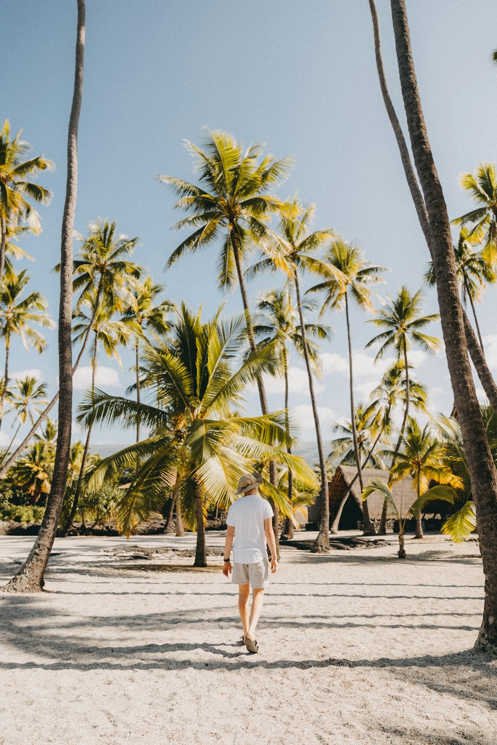 woman in white dress walking on gray concrete pathway between palm trees during daytime