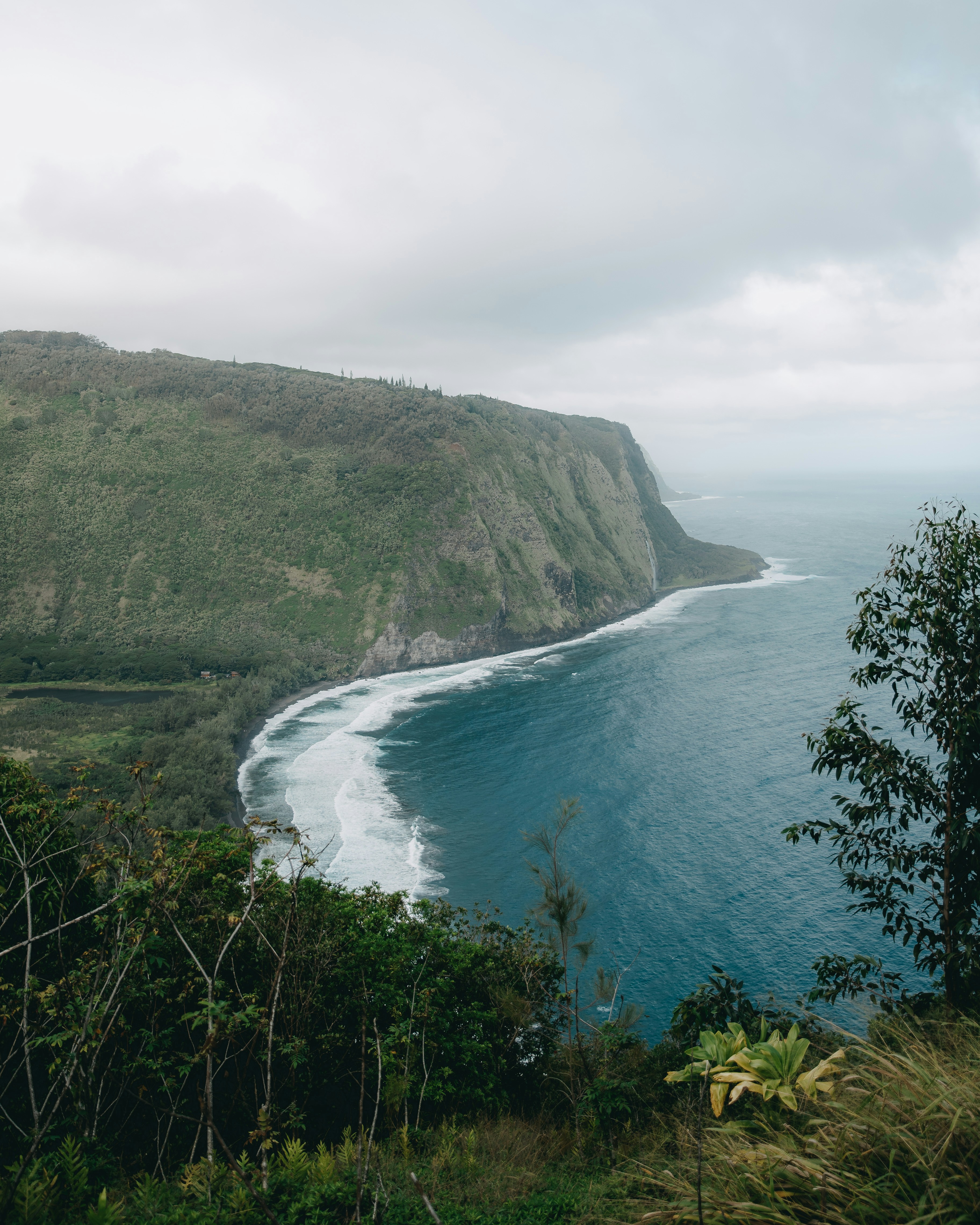 Photo by davidkovalenkoo