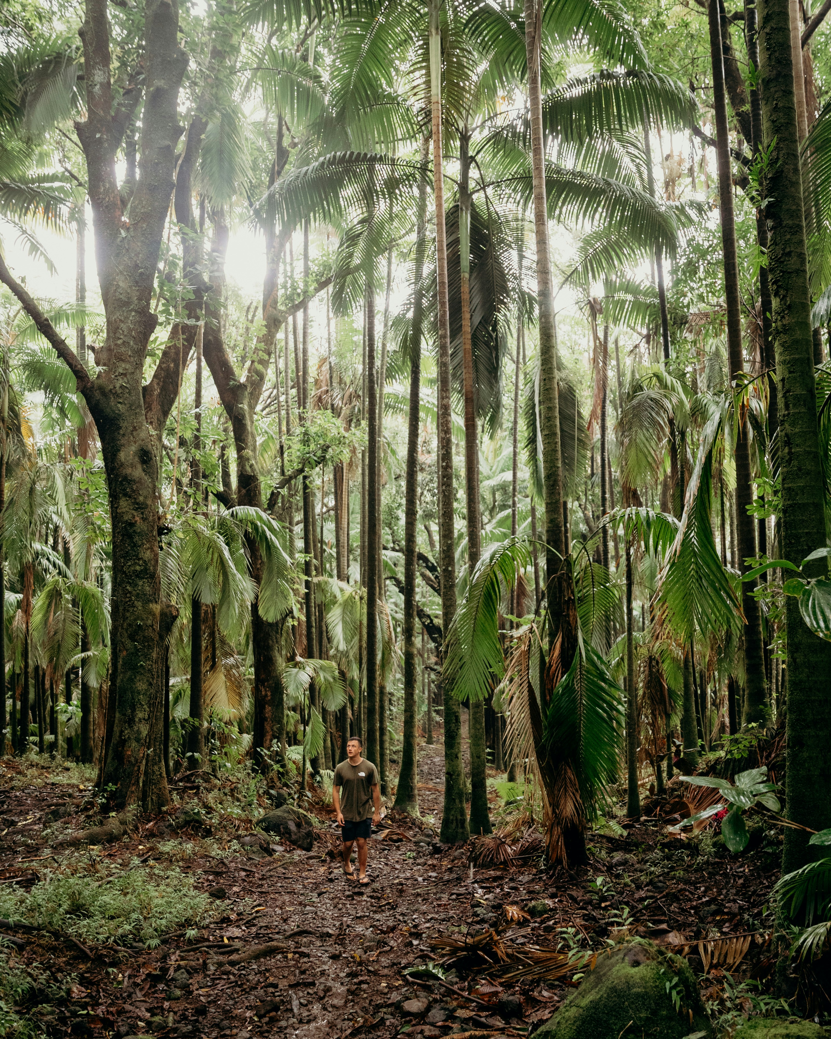 Photo by davidkovalenkoo