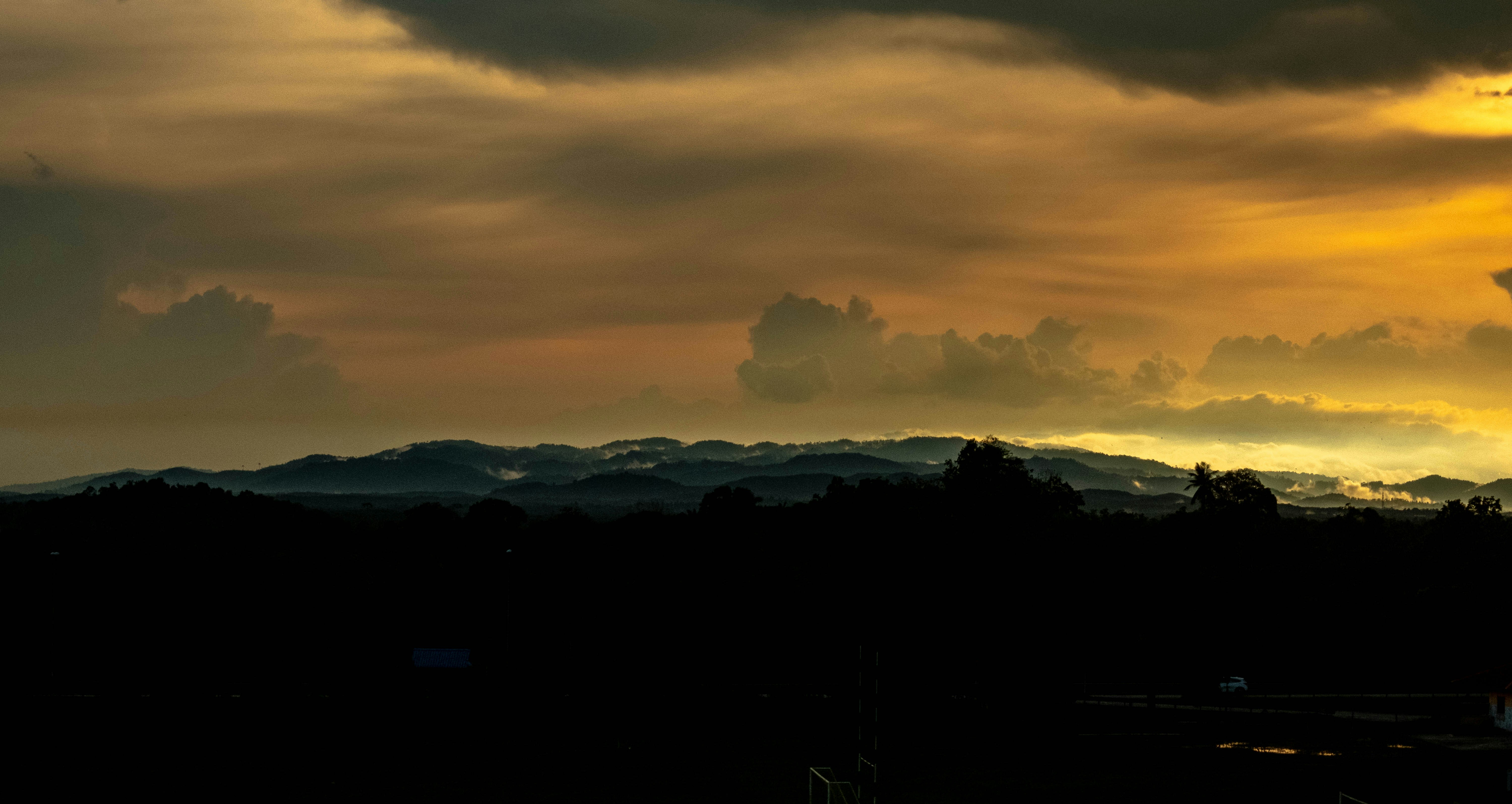 silhouette of trees during sunset