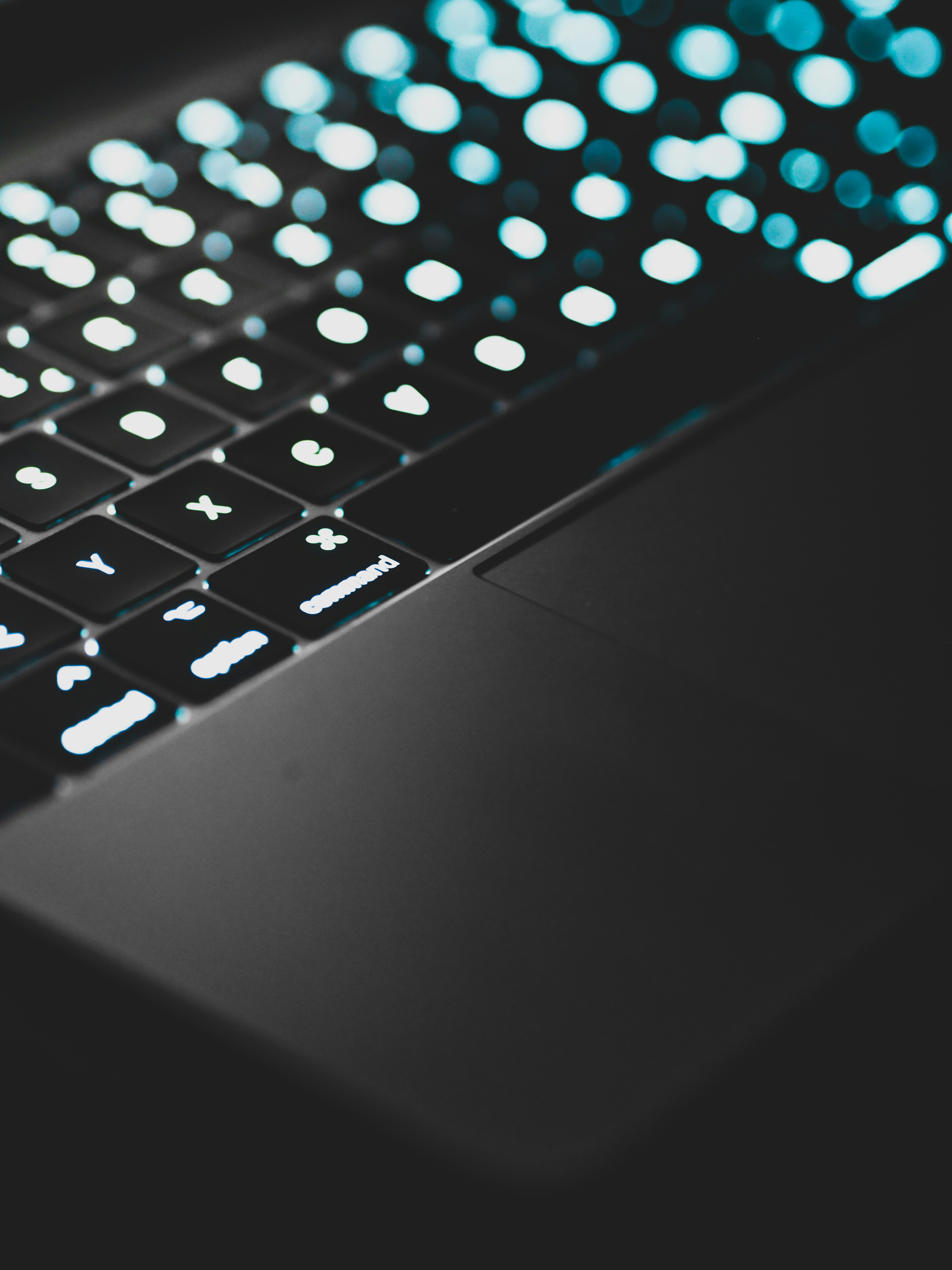 Photo by laurachouette