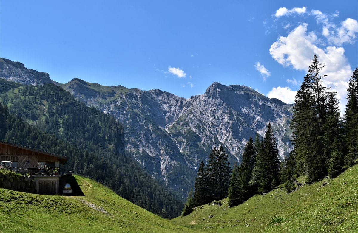Alpenlandschaft im Sommer