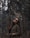 woman in brown coat standing near brown tree during daytime