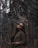 woman in brown coat standing near brown tree during daytime