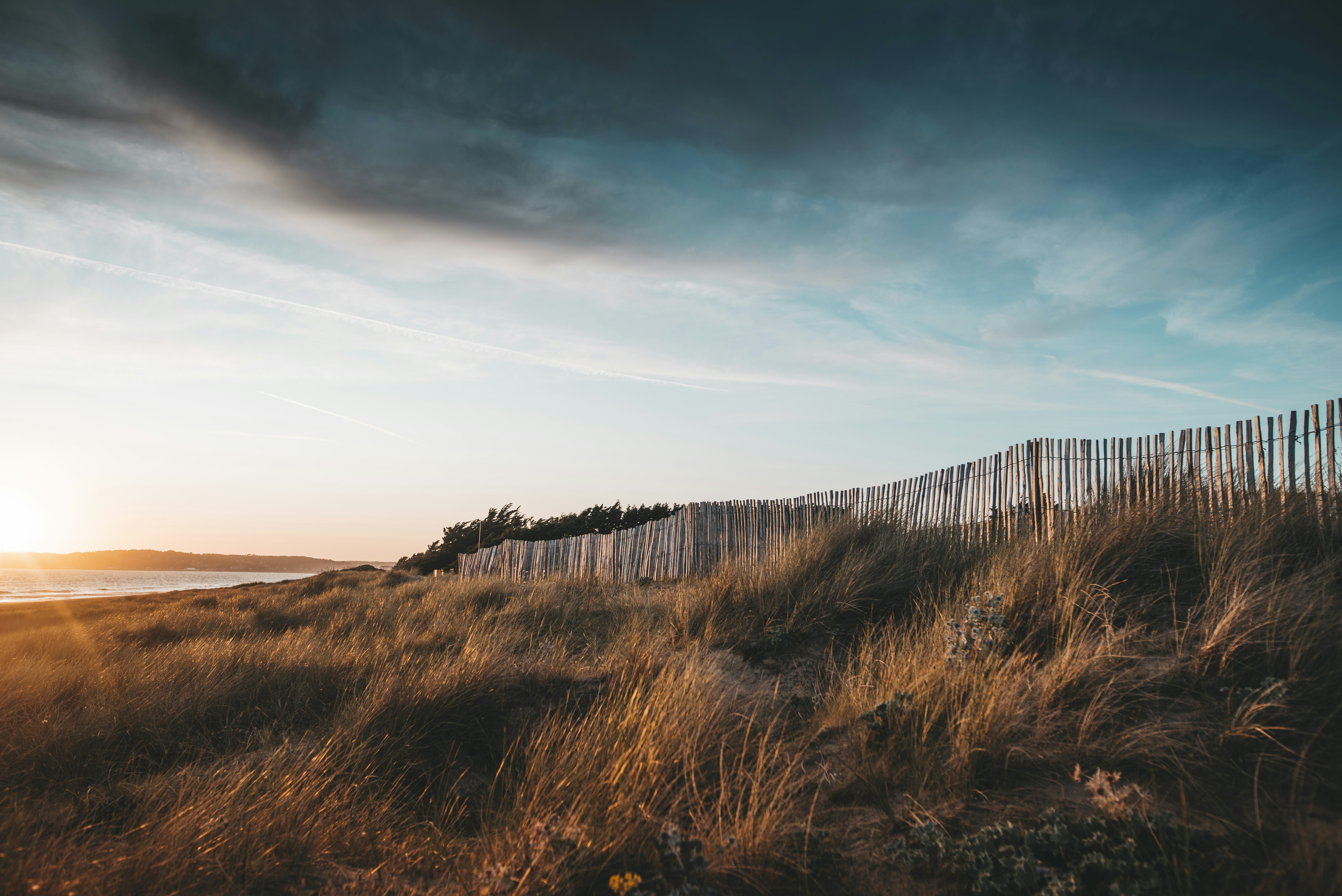 Photo by lukaszischke