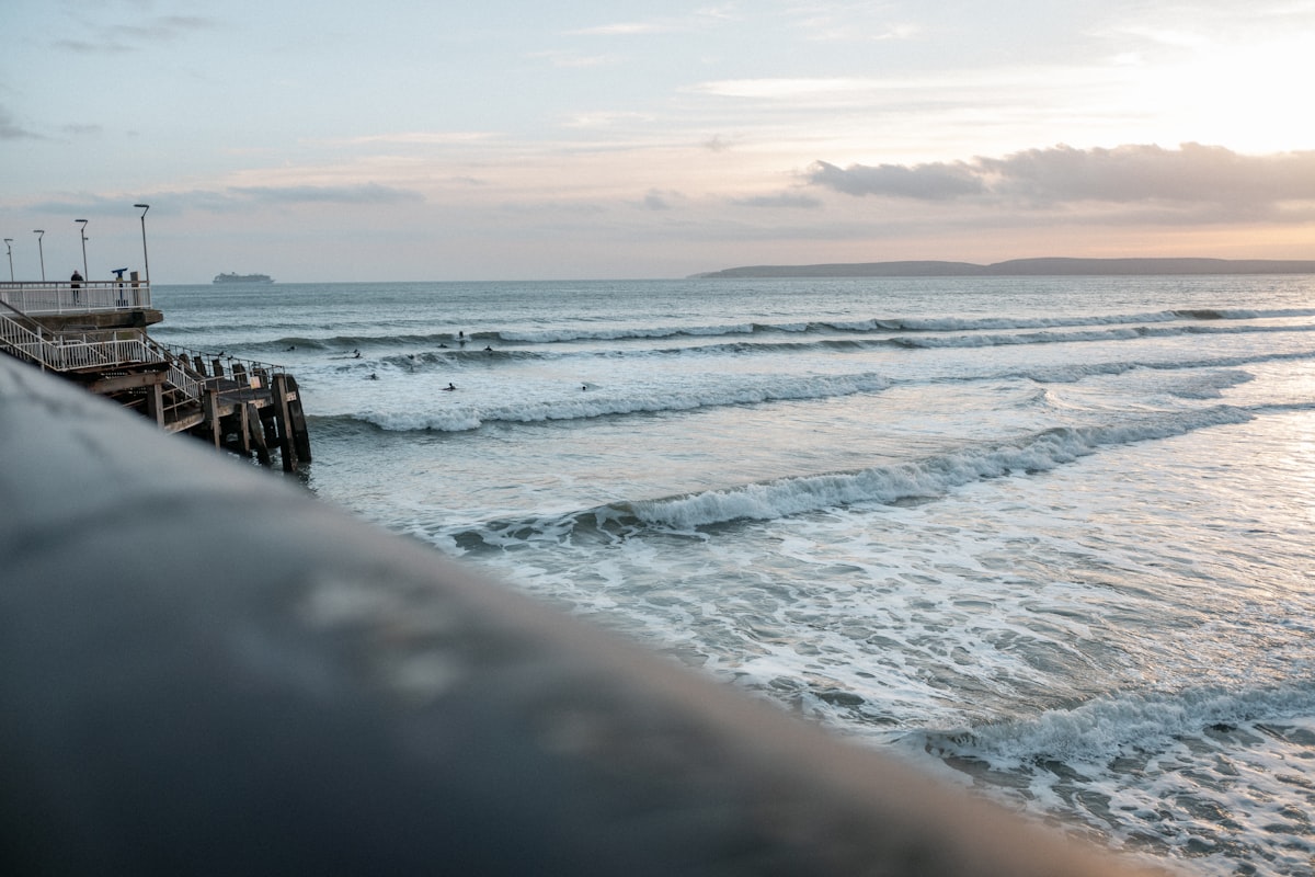 Food Festivals Near Bournemouth and Dorset in 2026: Your Local Guide