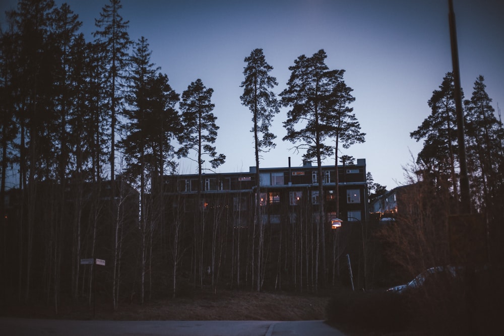 trees near building during night time