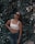 woman in white tank top and blue denim jeans standing near green leaves