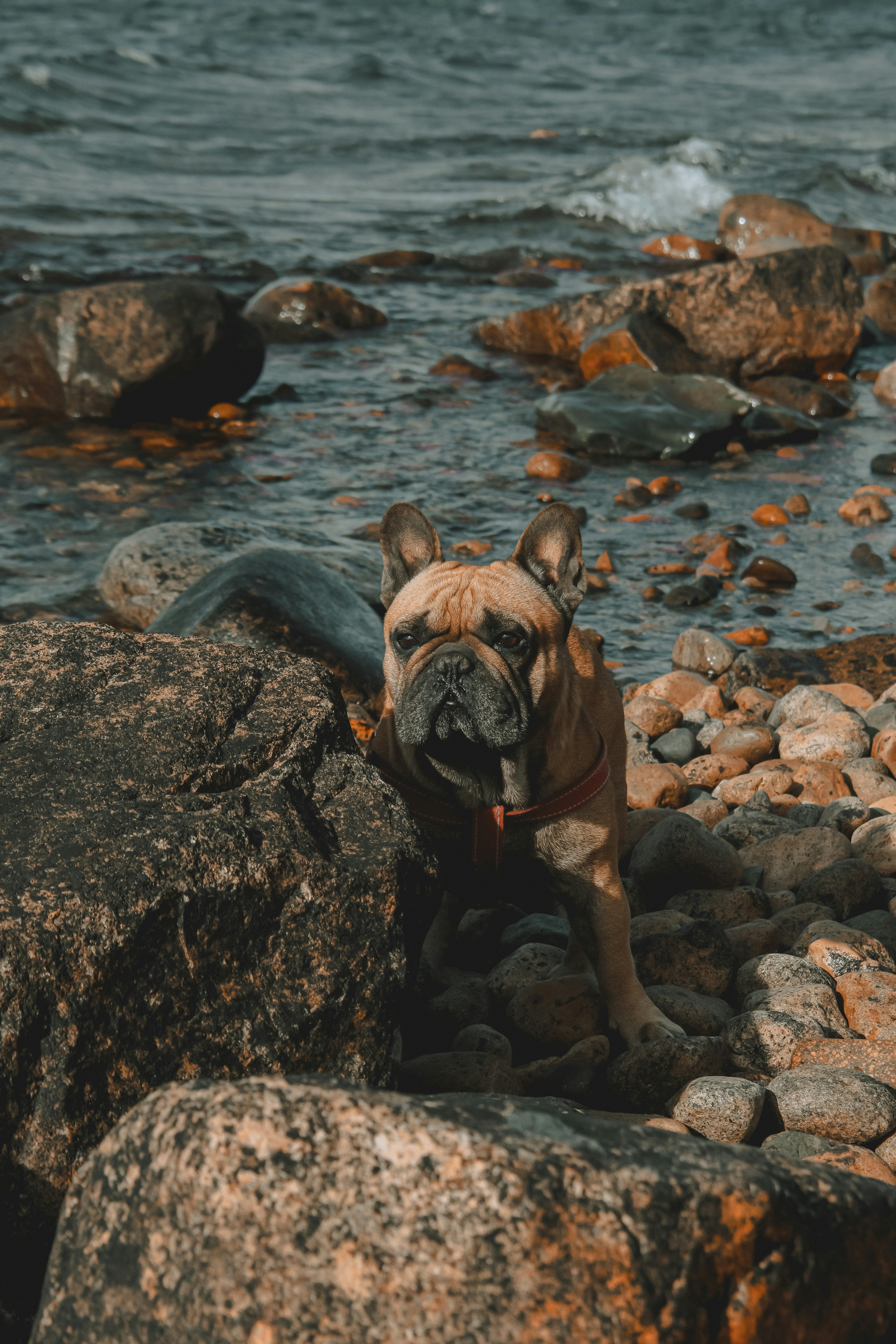 Photo by williamsiann