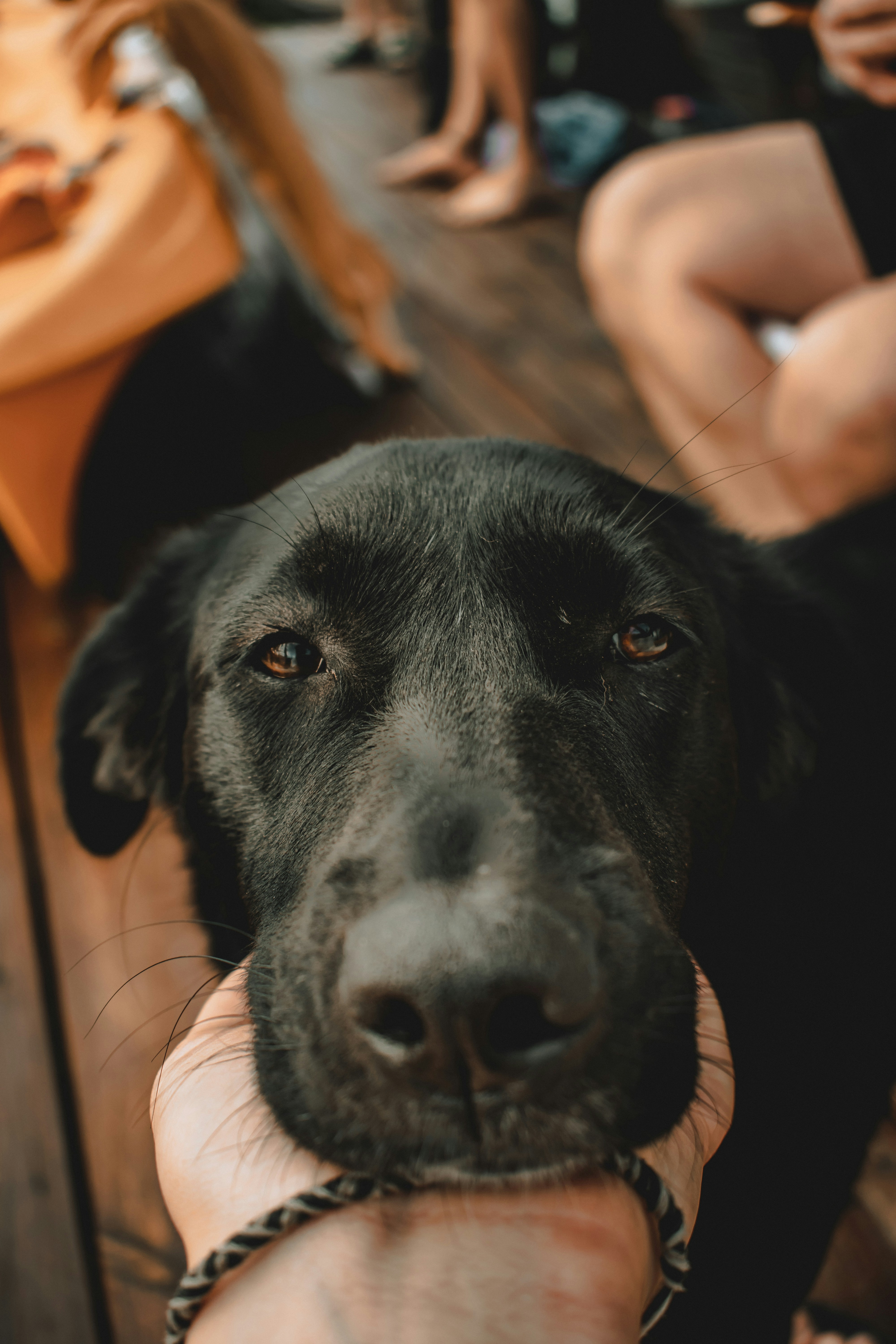 Photo by williamsiann