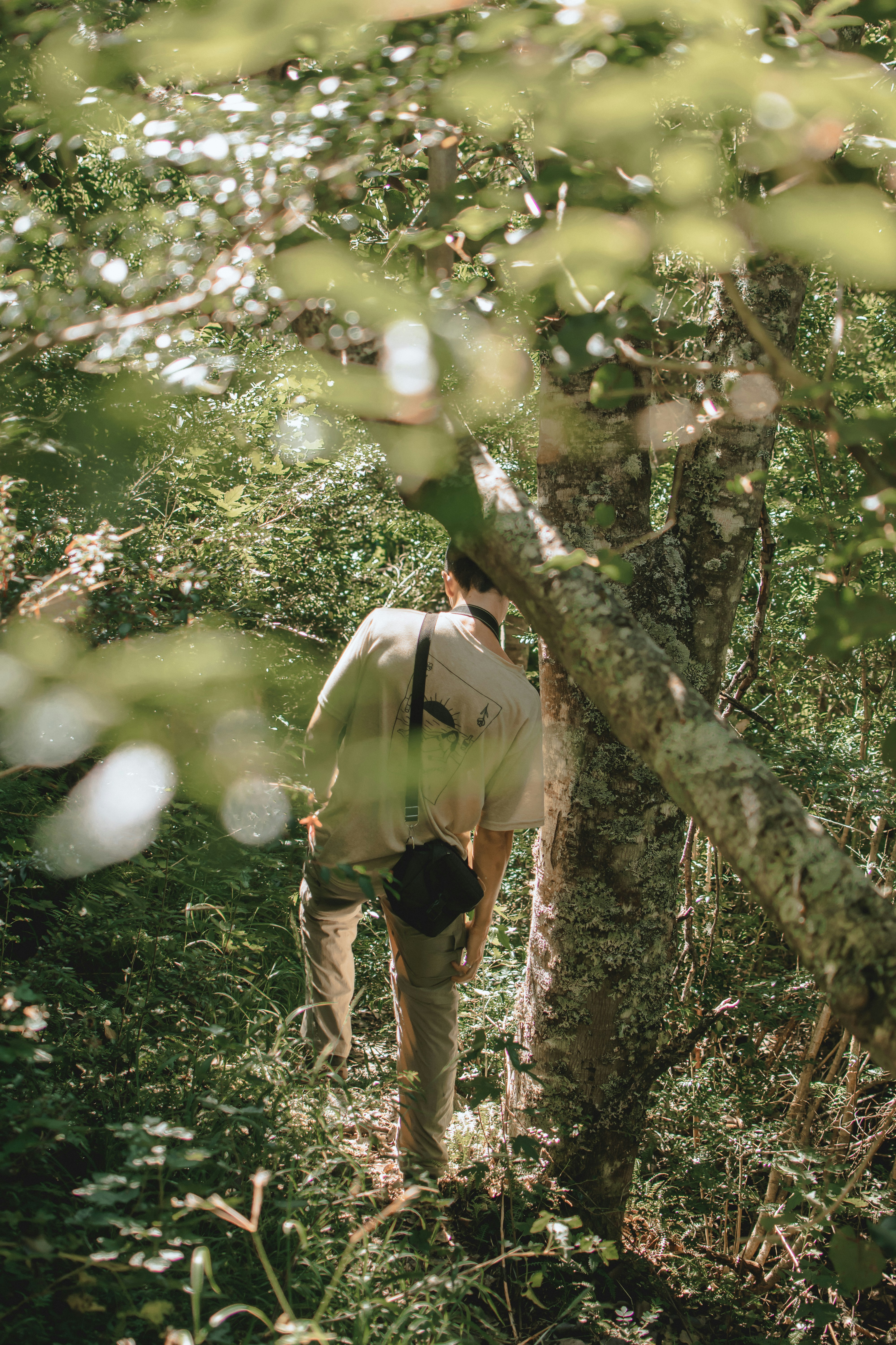 Photo by williamsiann