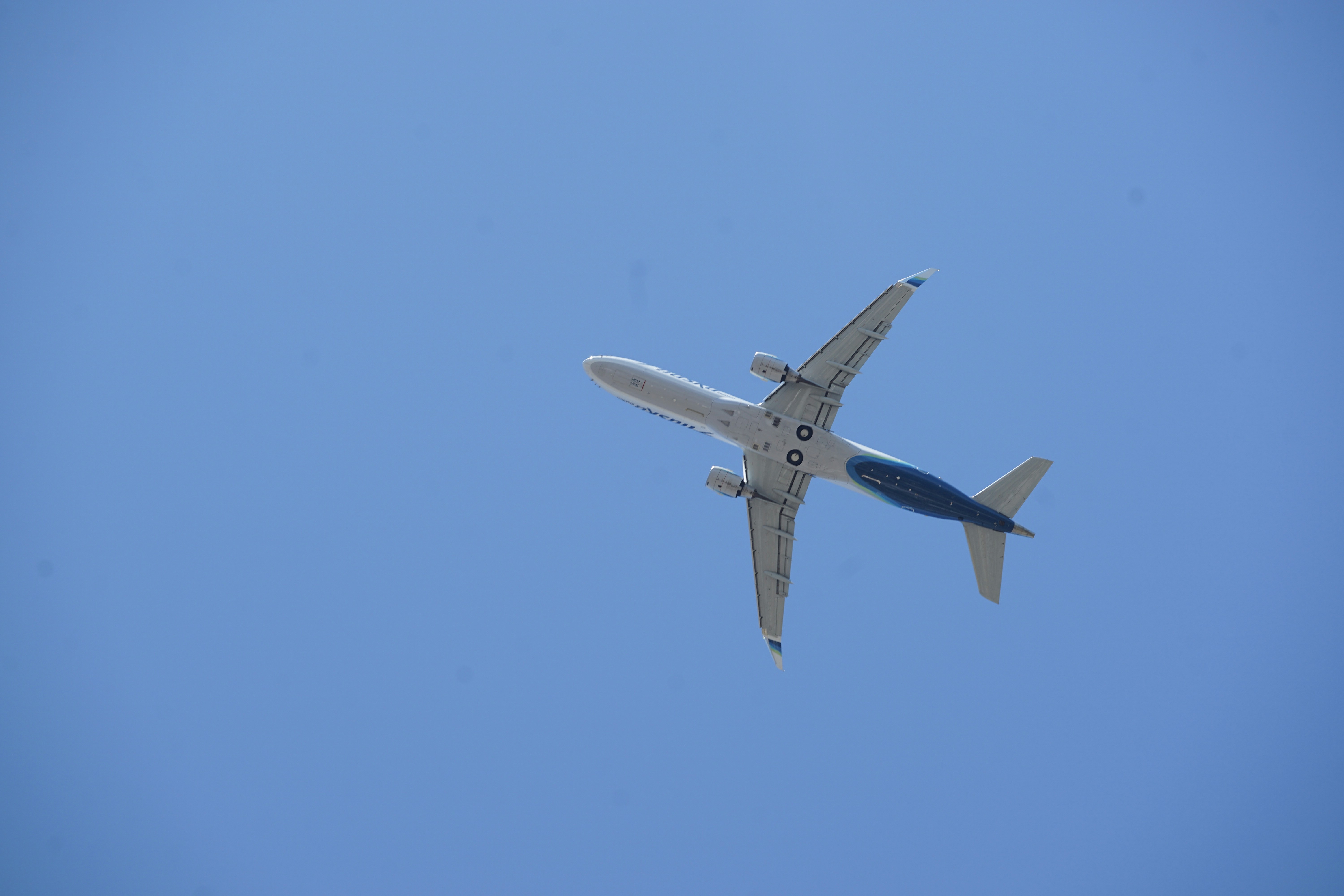 Photo by denisseleon