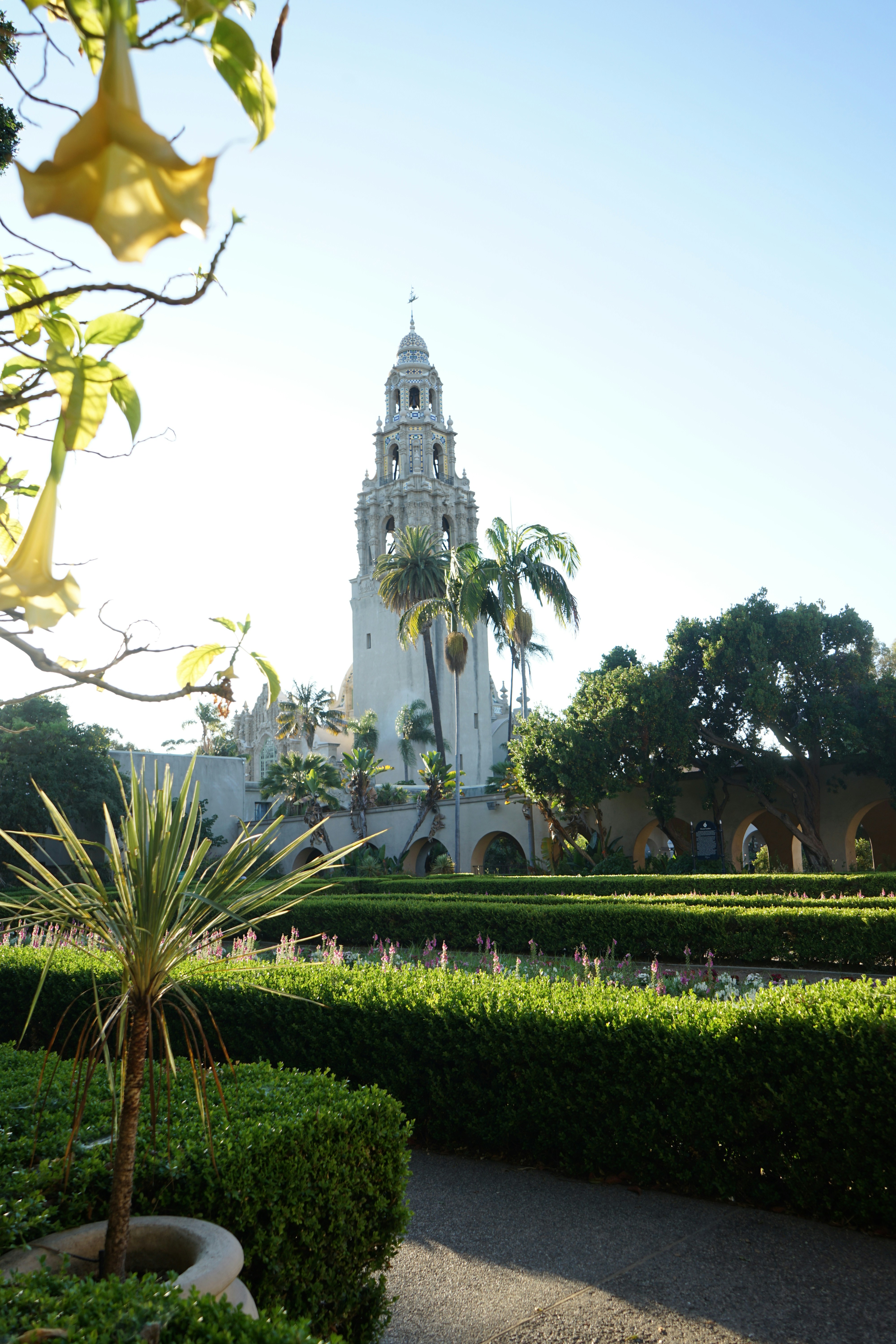 Photo by denisseleon