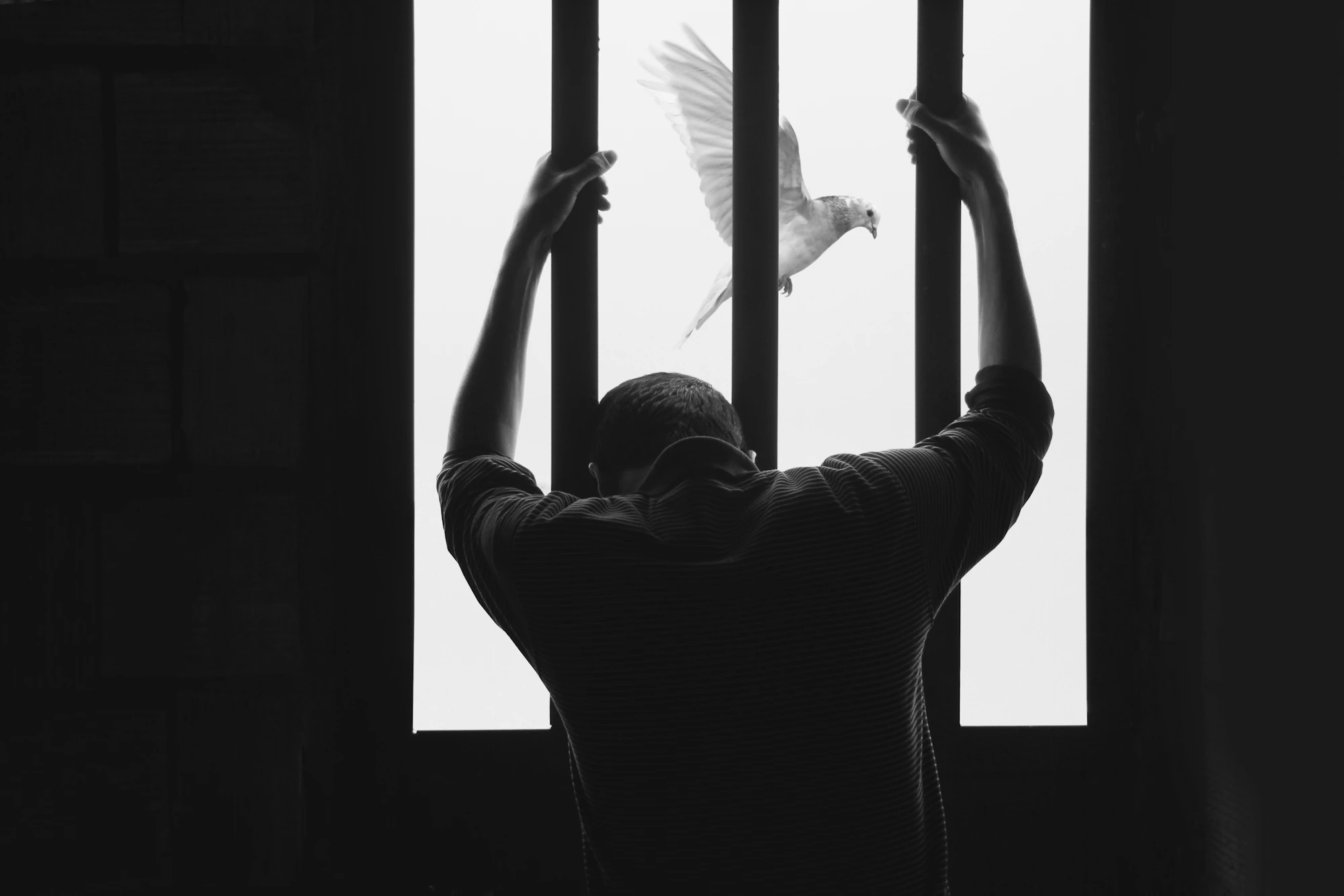A man inside a prison cell reaching toward a bird flying through the window