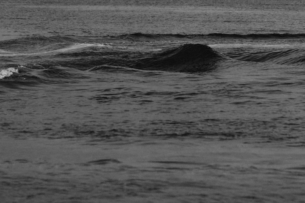 grayscale photo of sea waves