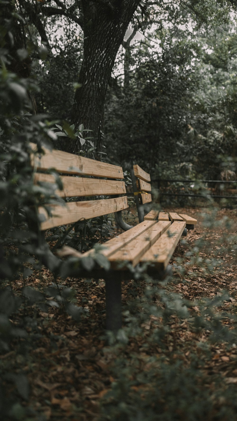 brown wooden bench near trees during daytime