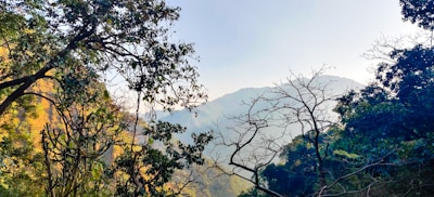 Stays in Uttarakhand