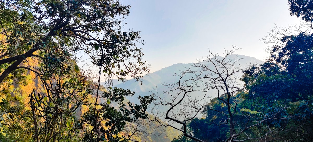 Homestay in Mukteshwar with Himalayan panorama