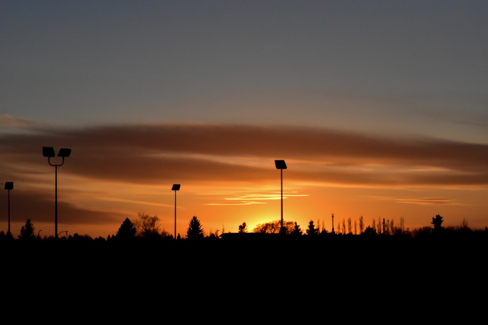 Silueta de árboles durante la puesta del sol