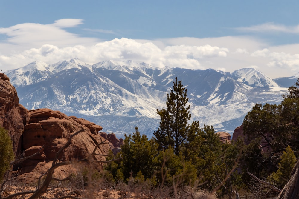 green trees near snow covered mountain during daytime