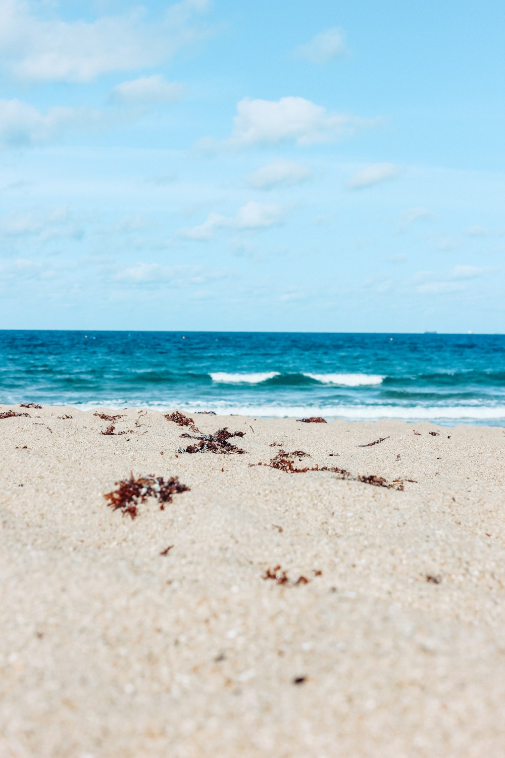 empreintes de pas sur le sable au bord de la mer pendant la journée