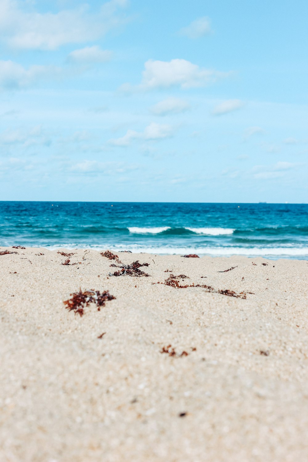 footprints on the sand by the sea during daytime