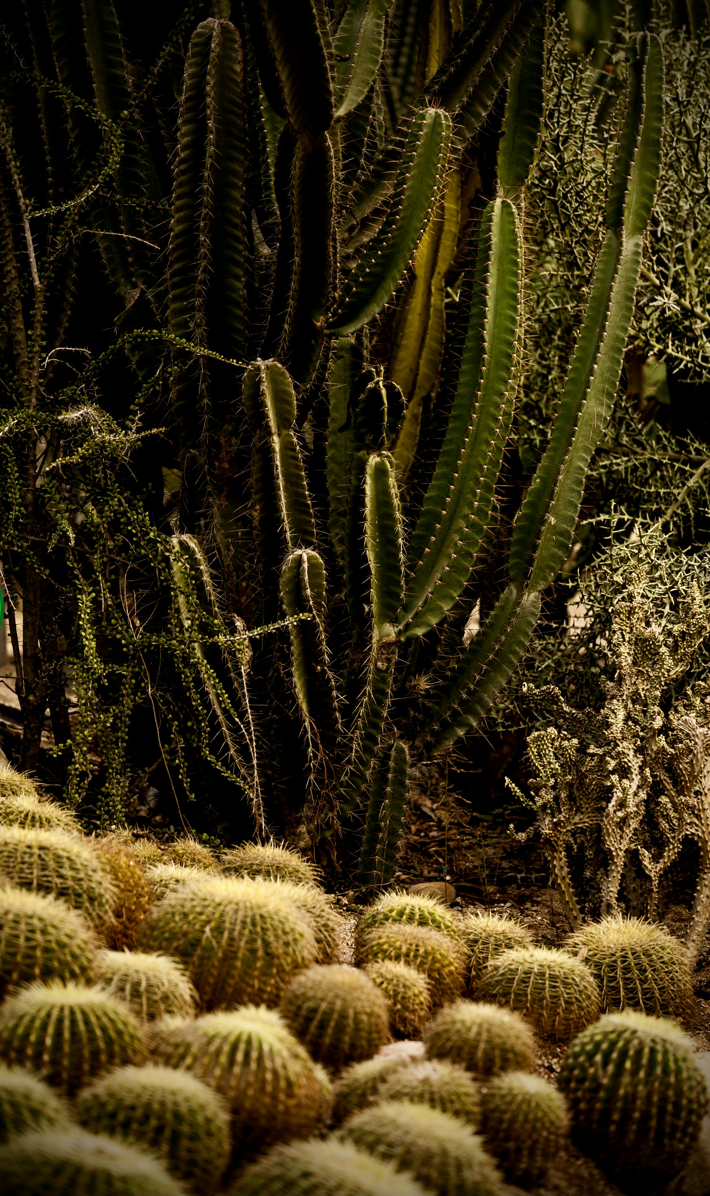 Photo by yubinzhou0314