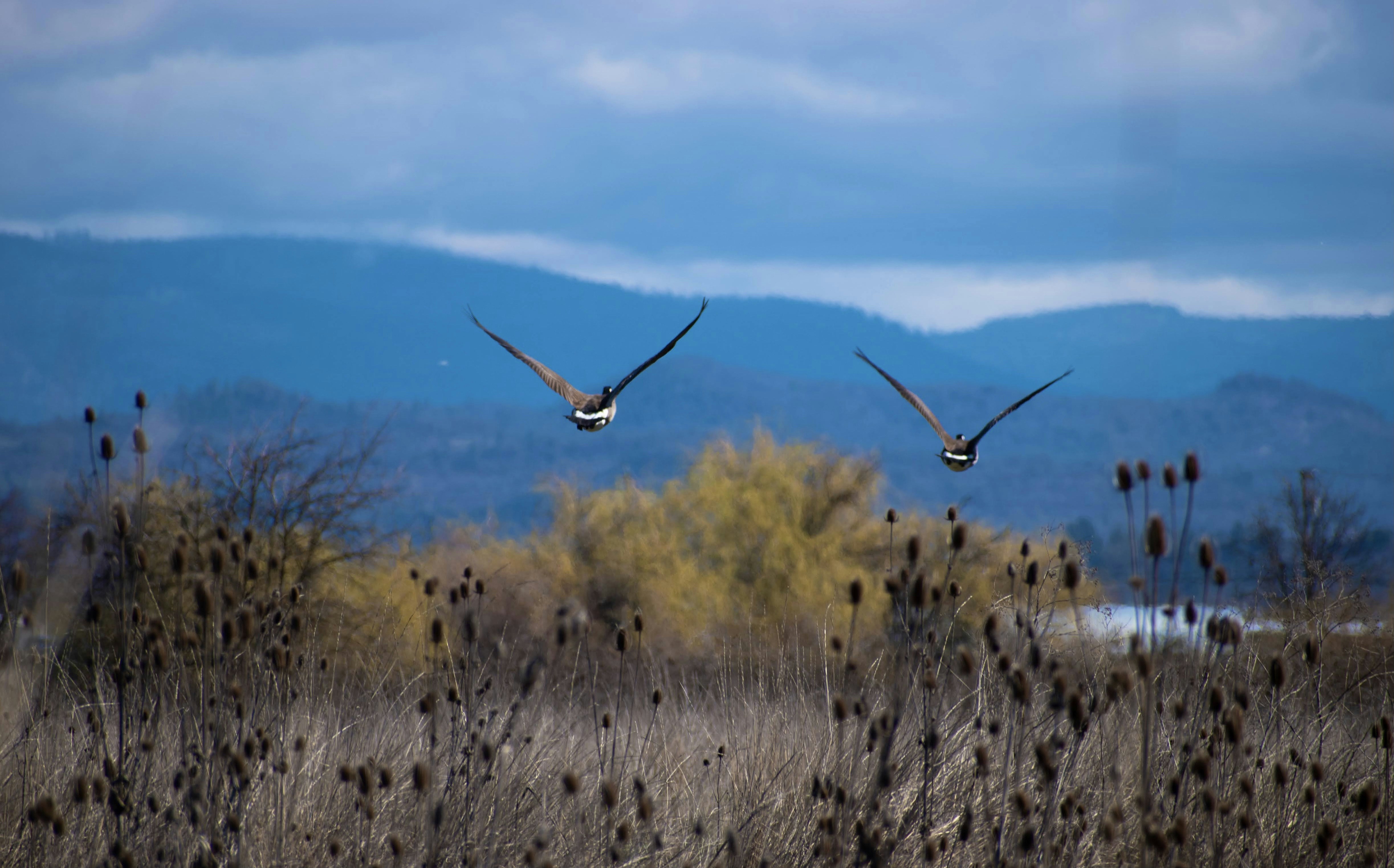 Photo by str_ong_photography