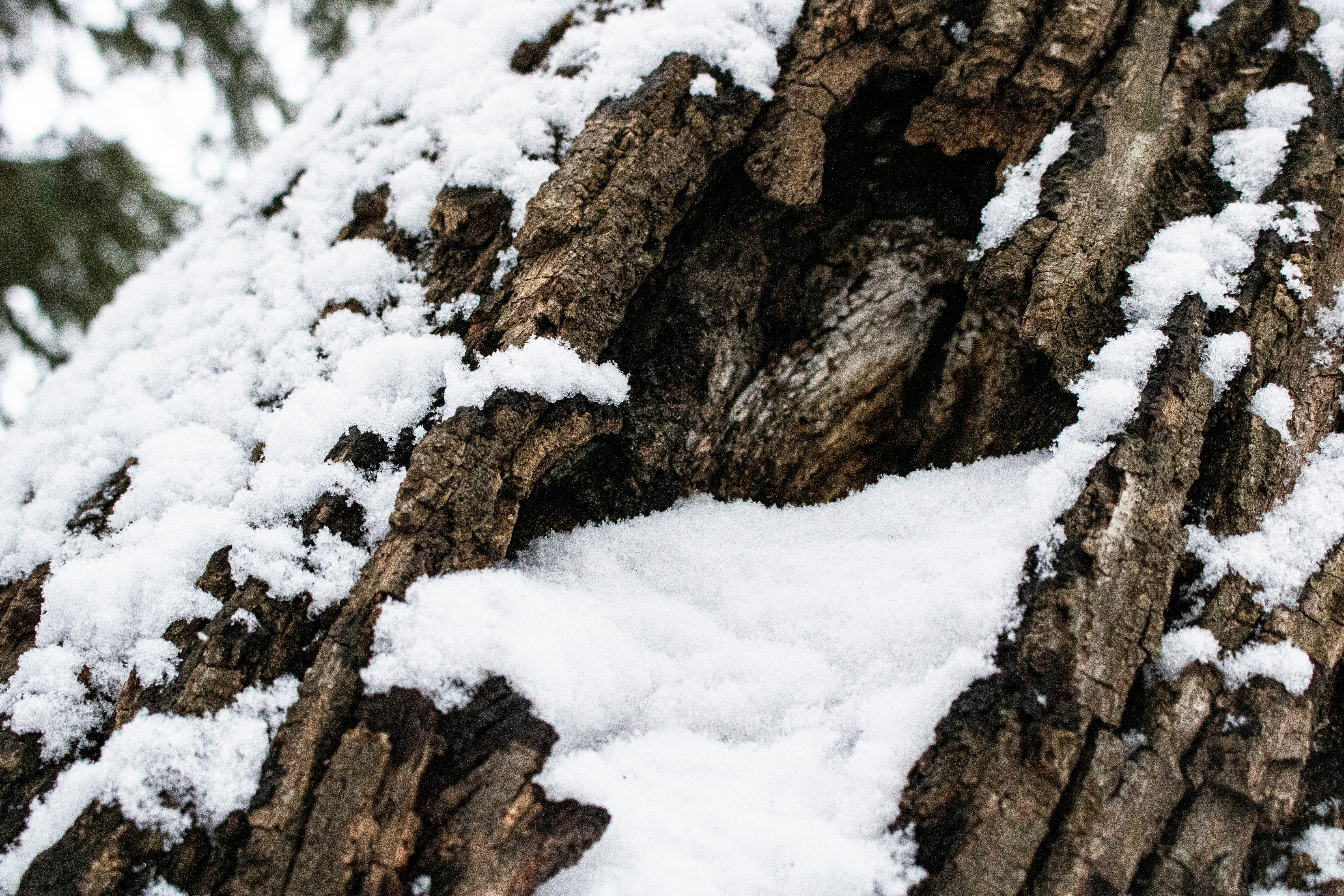 Photo by madeline_lickteig