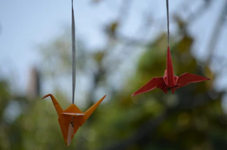 Hands releasing paper cranes symbolizing hopes and dreams taking flight.