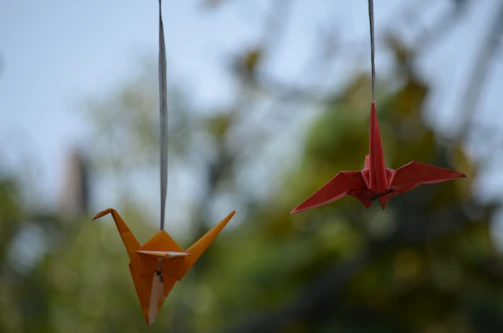 Hands releasing paper cranes symbolizing hopes and dreams taking flight.
