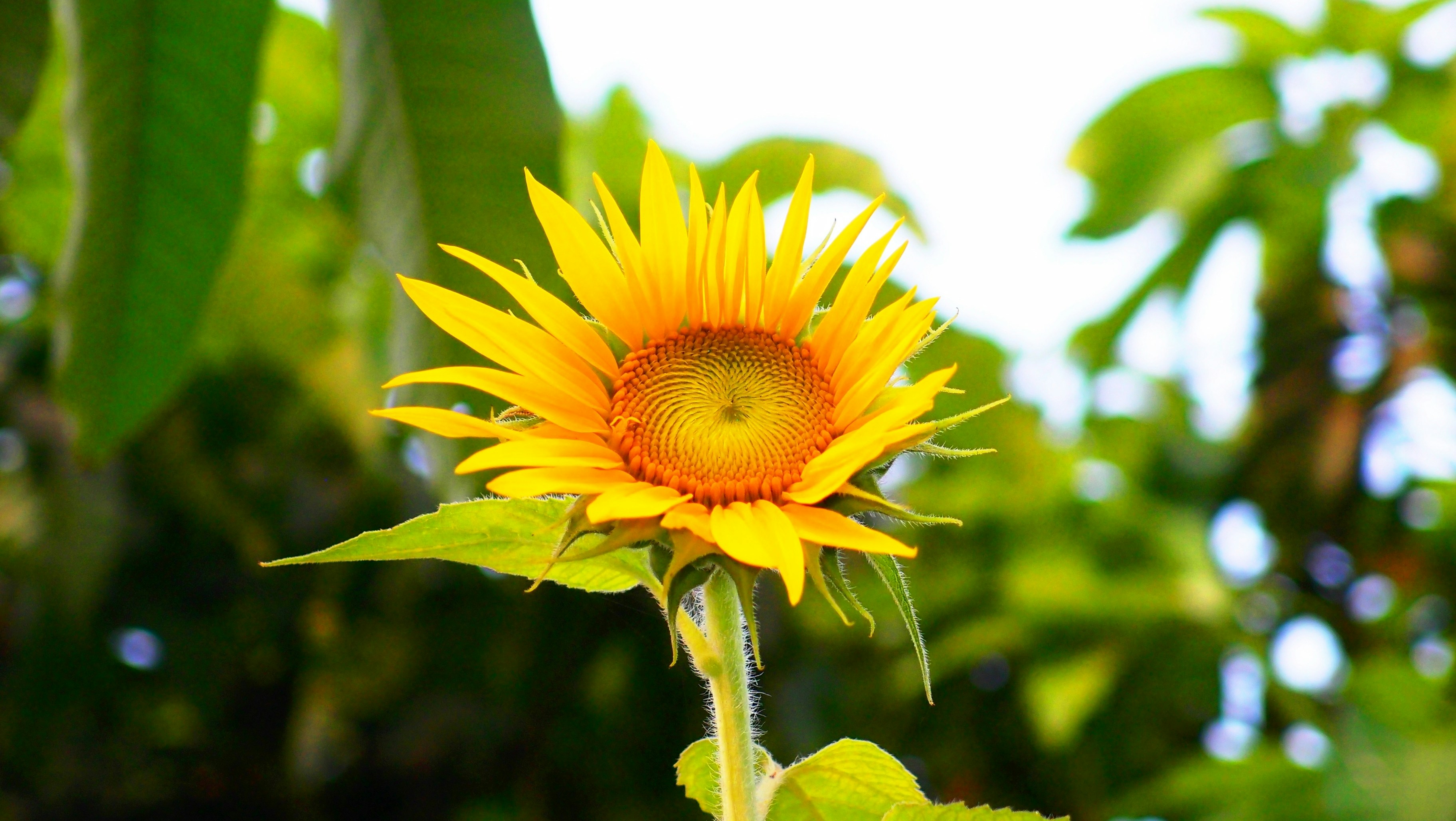 Photo by _tanvir_ahmad_