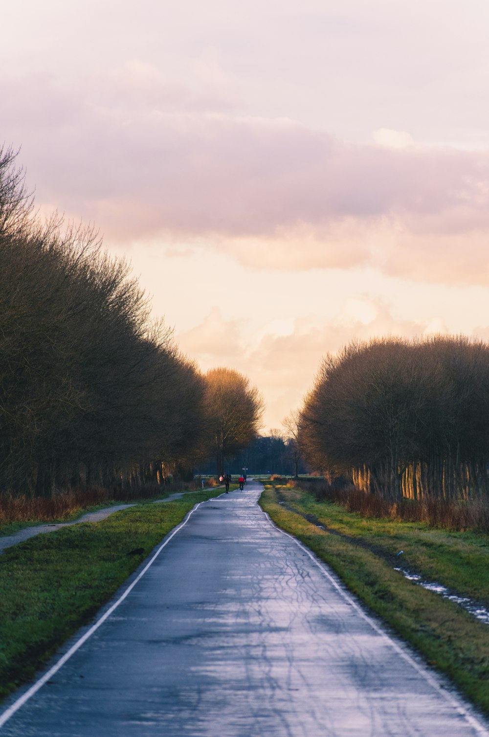 gray concrete road between green grass field during daytime