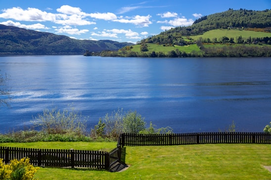 black wooden fence near lake during daytime