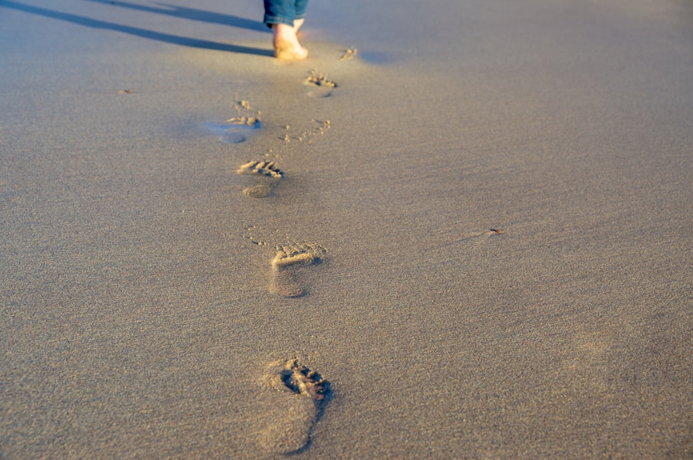 person in blue denim jeans walking on beach during daytime