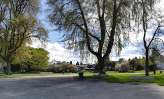 A spacious community park with walking paths and benches under tall trees.