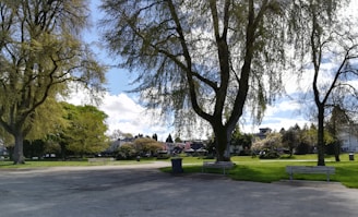 A serene park with walking paths and trees in a residential neighborhood.