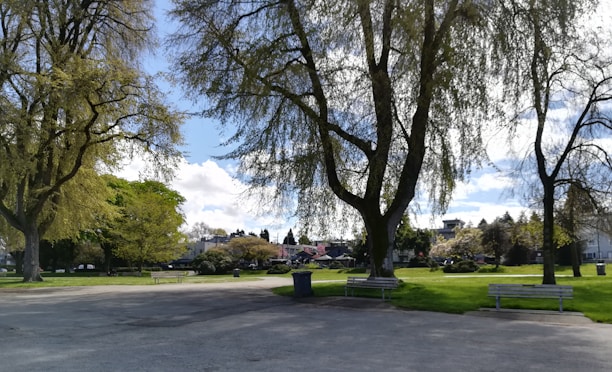 A serene park with walking paths and trees in a residential neighborhood.